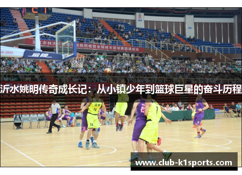 沂水姚明传奇成长记：从小镇少年到篮球巨星的奋斗历程